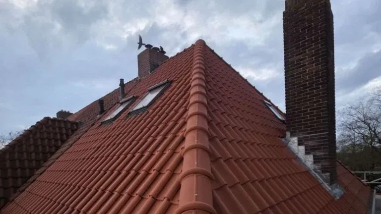 Ridge tiles - Koning Dakwerk