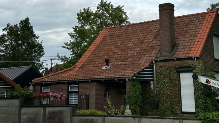 Stripped tiled roof with new waterproof underlay, battens, and purlins during roof renovation